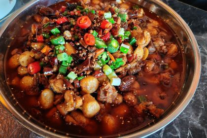 Brokadi Tripla 锦官庭