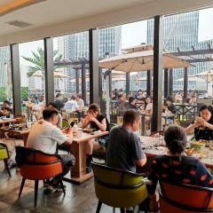 Mango Tree User Photo