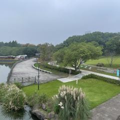 Kaiyuan Mingju User Photo