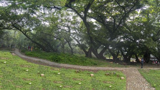 杨家溪位于福建省宁德市霞浦县牙城镇杨家溪村56号，现为国家3