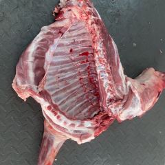 Ningxiayanchixianhengruntan Lamb (yinchuanfengongsi) User Photo