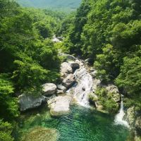 評論圖片 1