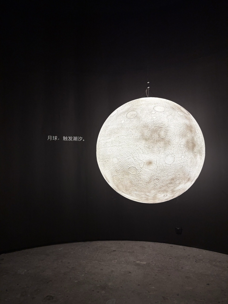 'Whale Tale' Digital Science and Art Exhibition | Paleozoological Museum of China (Baoding Natural History Museum)