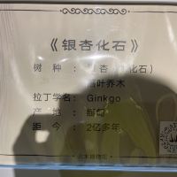 評論圖片 2