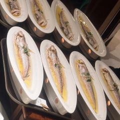畔山璞院 User Photo