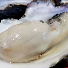 Oyster fort·Origin of Species (Weihai Flagship Store) User Photo