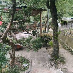 五厂坝休闲农庄 User Photo