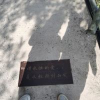 評論圖片 3