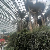 評論圖片 3