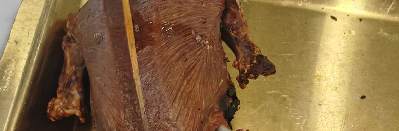 情缘烧烤(东广场店)