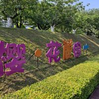 評論圖片 1