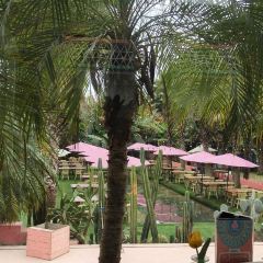 Casa Jardin User Photo