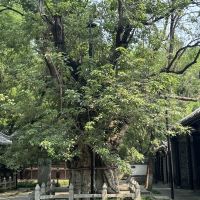 評論圖片 5