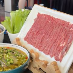 蒙都43°9羊火锅(双子座店) User Photo