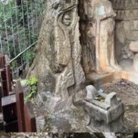 評論圖片 6