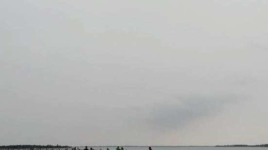 一直有看到各平台推送的网红打卡地。这次正好在青浦，就过来看看