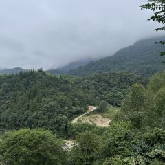 岳西黄尾山林土鸡农家乐 User Photo