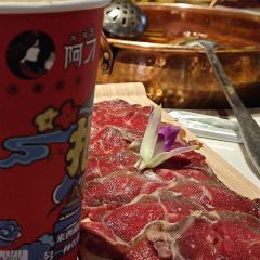 田村·酸汤鲜牦牛肉火锅(嘎玛贡桑店) User Photo