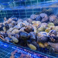 必点·蒸汽海鲜连锁餐厅(三浴场店) User Photo
