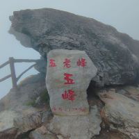 評論圖片 1