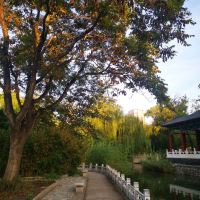 評論圖片 4