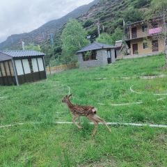 臘子口藏家樂張用戶圖片