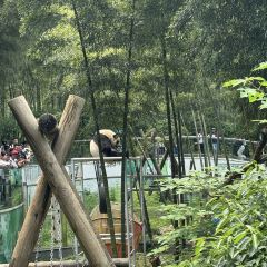 Tianmu Lake Yushui Hot Spring Hotel·ZHONG CAN TING ảnh của người dùng