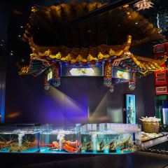MAO FU CHAO YAN User Photo
