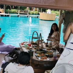 Bubble in the Forest Cafe張用戶圖片