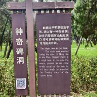 評論圖片 6