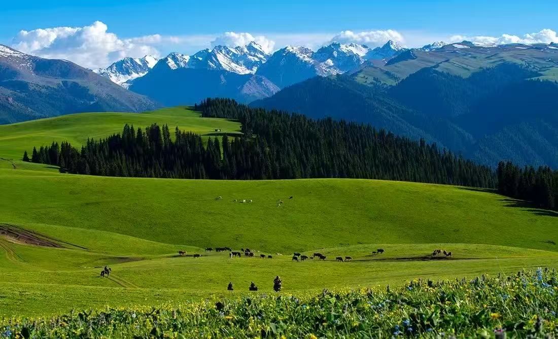 Zhaosu Cloud Grassland