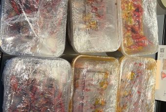 APANG CRAYFISH User Photo