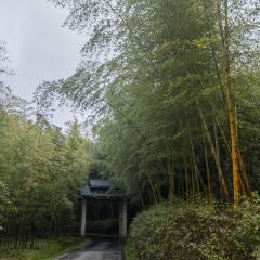 苏州环秀晓筑养生度假村·阅湖轩 User Photo