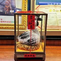 SU NAN QIN JI User Photo
