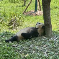 評論圖片 6