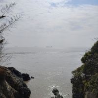 評論圖片 4