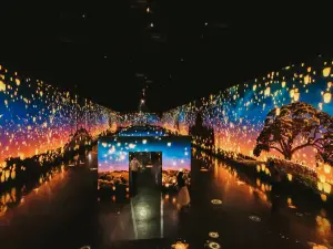 강릉의 인기 야경 필수 코스