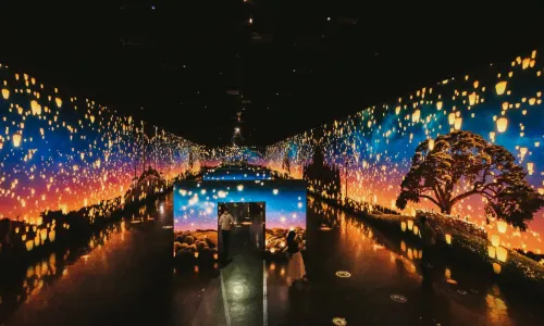 아르떼뮤지엄 강릉