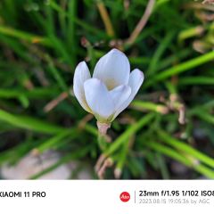 7米9庭院餐厅(七乡商业广场店) 여행 사진
