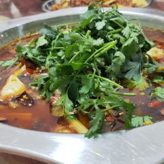 食神厕所兔(煤炭坝总店) User Photo