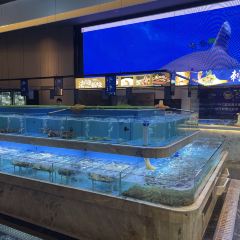太古汇海鲜姿造(延寿店) User Photo