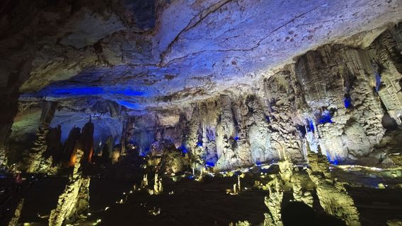zhi jin dong shi jie di zhi gong yuan fo zu pu du zhong sheng