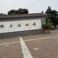 評論圖片 1