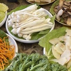 Tamura • Shipot Tibetan Chicken User Photo