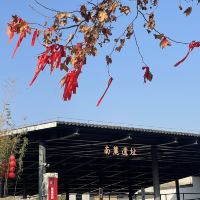 評論圖片 1