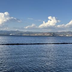 泰莱金·冬阴功手抓饭·傣泰融合·泰国罗氏虾餐厅(滨海大道店) User Photo