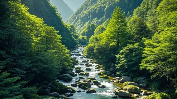 Yunxi Valley Scenic Area