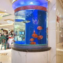 齐家花园大酒店(虹口店) User Photo