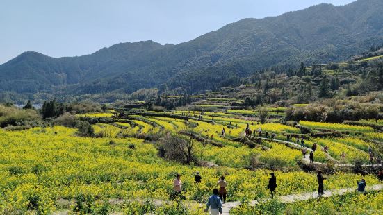 3月去的，且只能3月中至4月初去，來這裏就是為了看梯田油菜，