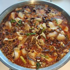 金大吉·鲜鱼火锅(世和广场店) User Photo